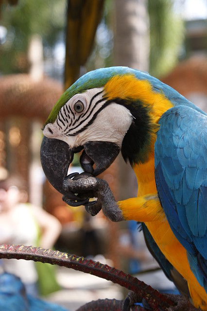 IN THAILAND