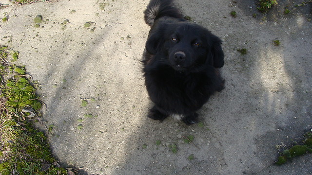 ;D futrzak 