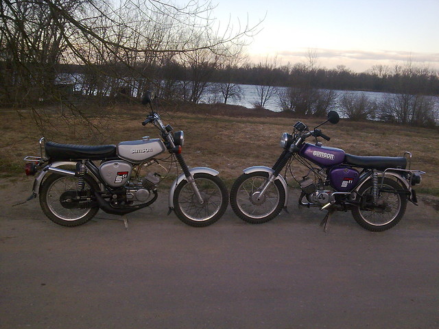 Simkowe : D