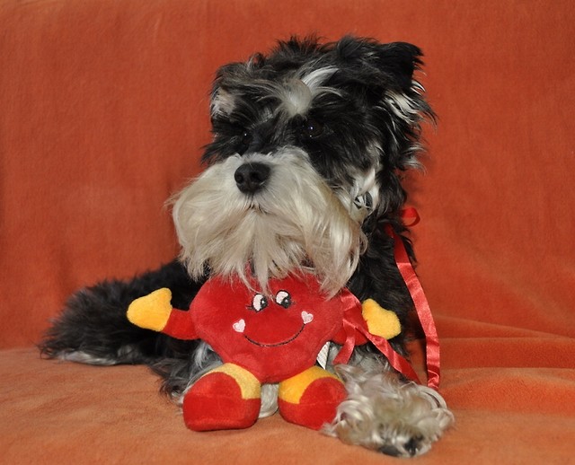 Wpis sonia08