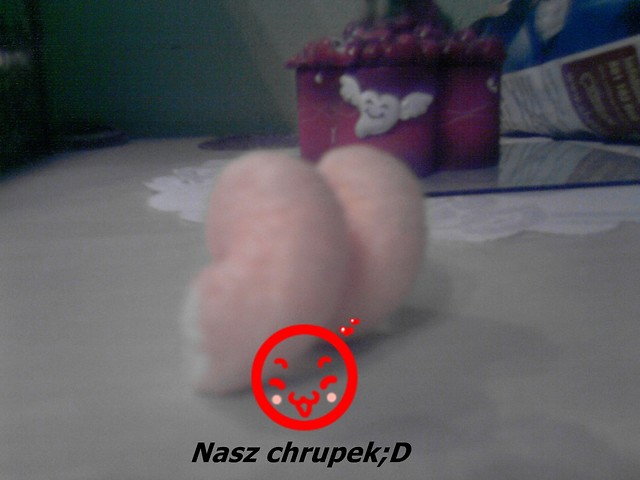 Smiecho-Chrupek.xd