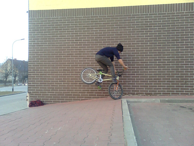 endo  . . . 
