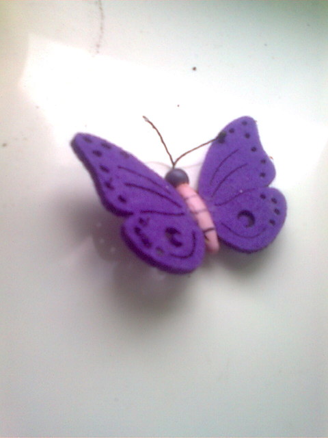 motyl