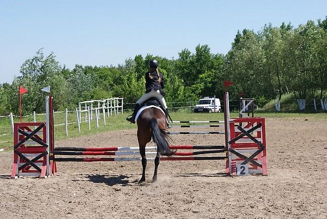 Canter 