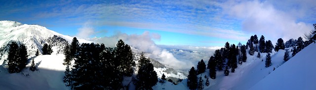 Freeride