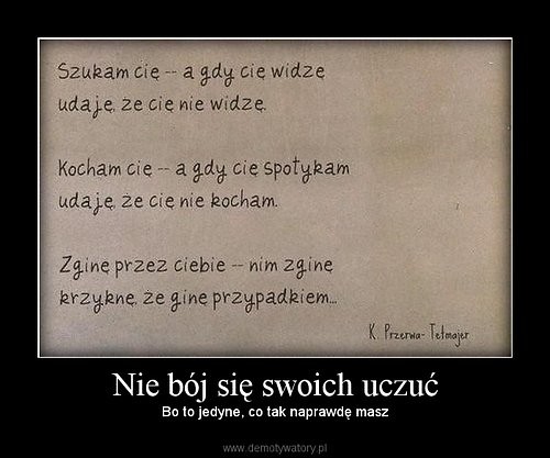 Wpis kamciatka17