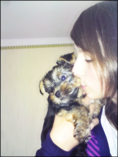 Wpis aniciaa8