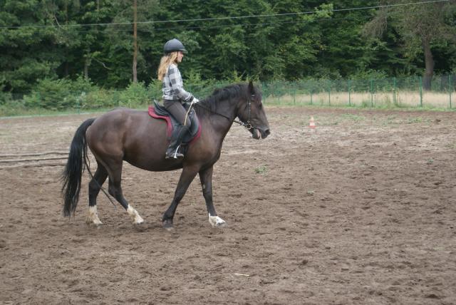 Wpis stabless