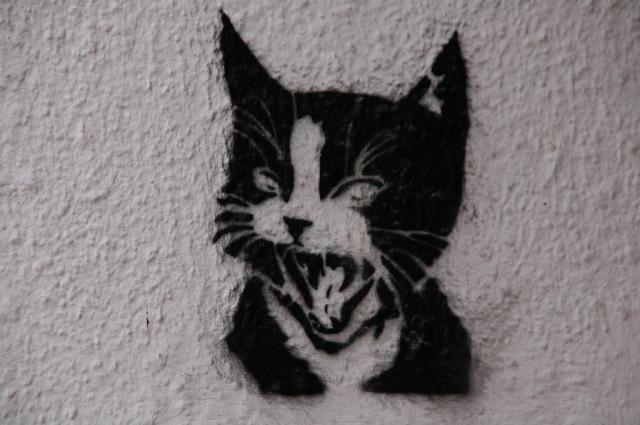 ... MRRRRRR