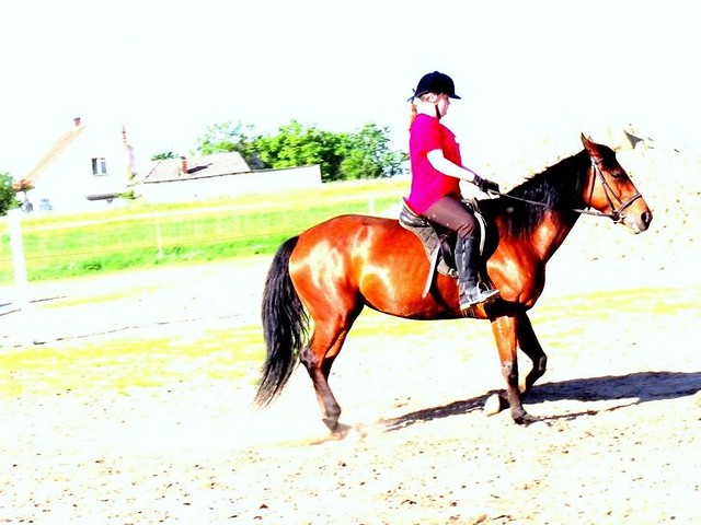 Bonaa ; *
