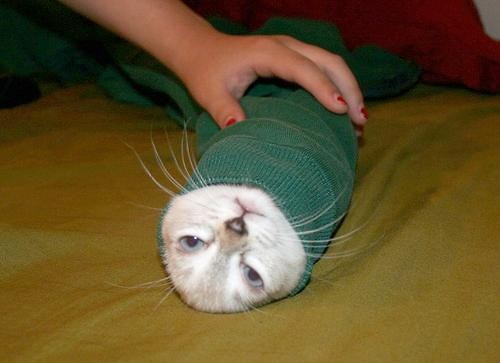 :D