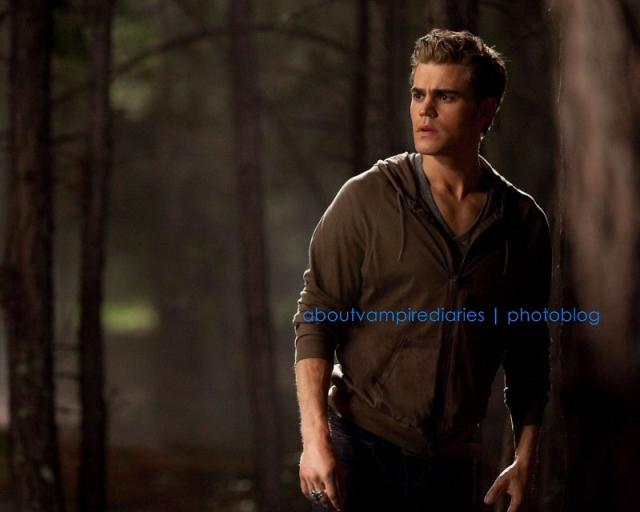 Wpis aboutvampirediaries