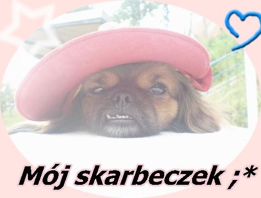 Yo ;] 