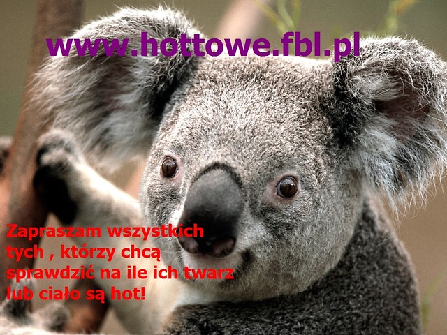 Wpis hottowe