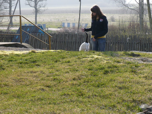 7 kwietnia 2008r