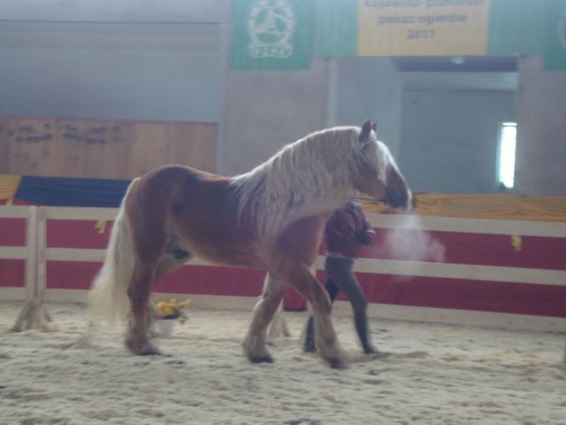 Wpis blackhorse93