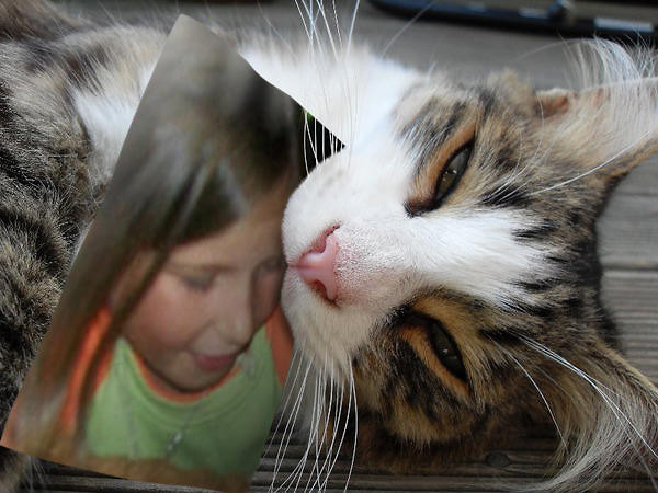 Wpis agawojtarowicz