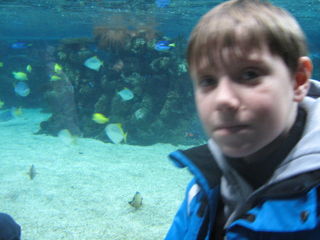 oceanarium