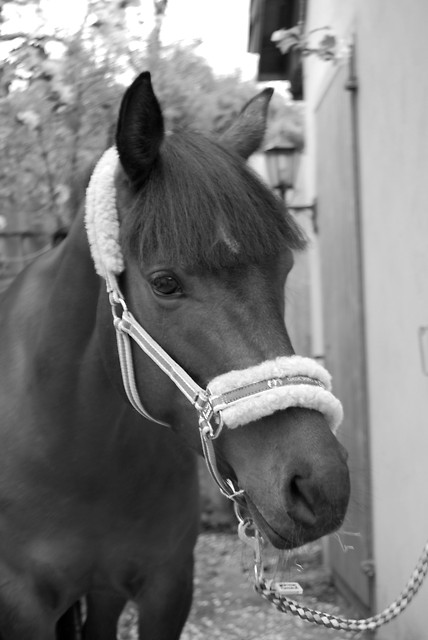 rest in peace :*