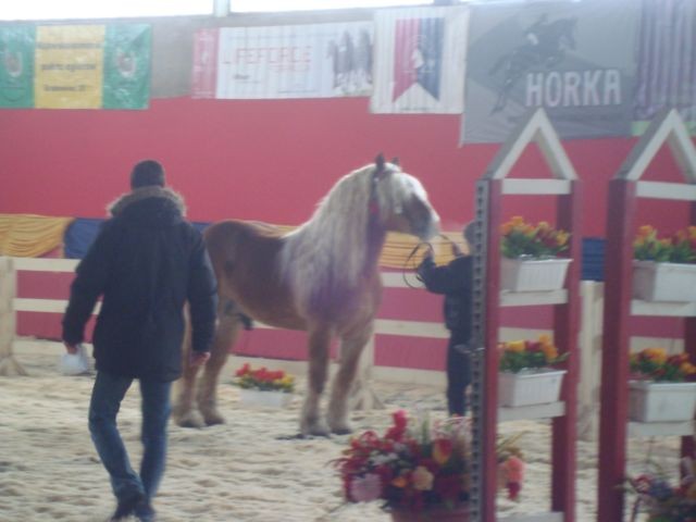 Wpis blackhorse93