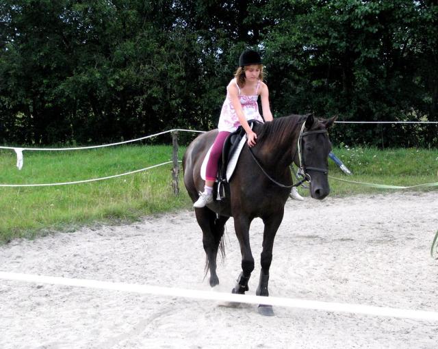 Wpis stabless