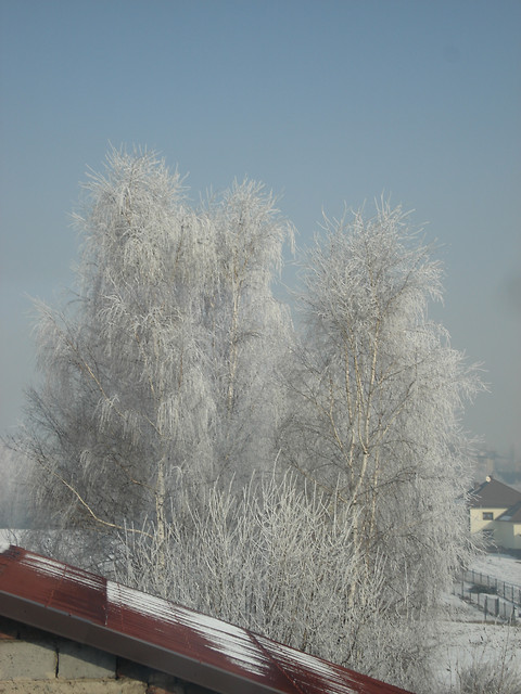 Wpis pozytywniedziwna