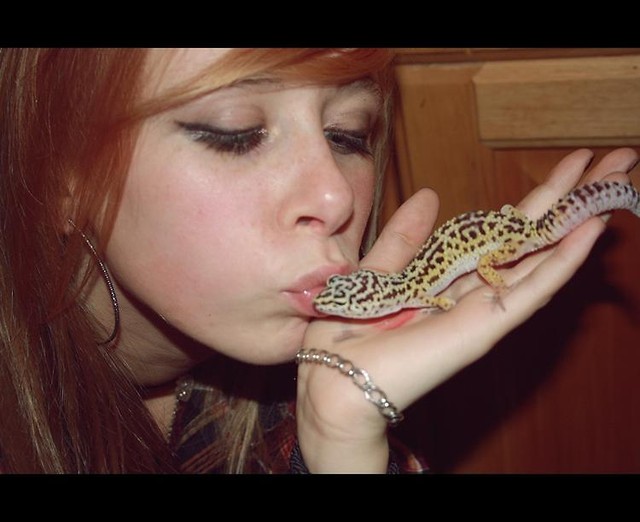 lovelovelove