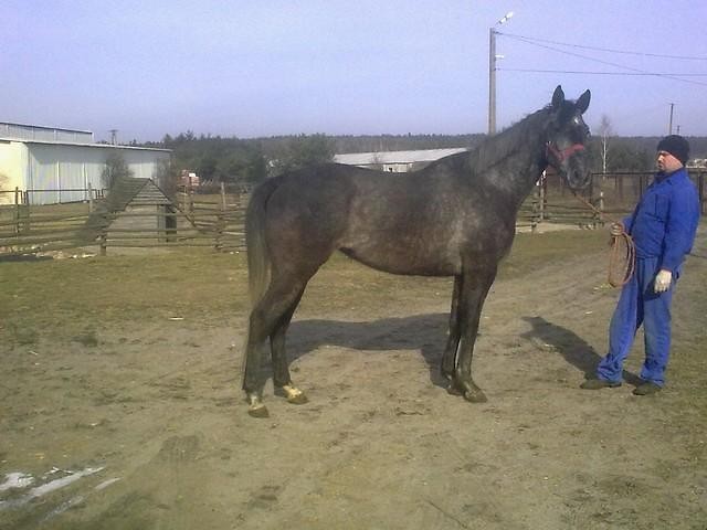 Nitka ;*