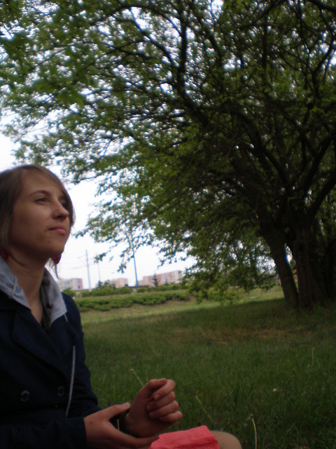 Wpis stachunia