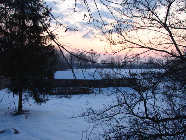 Zima. 1