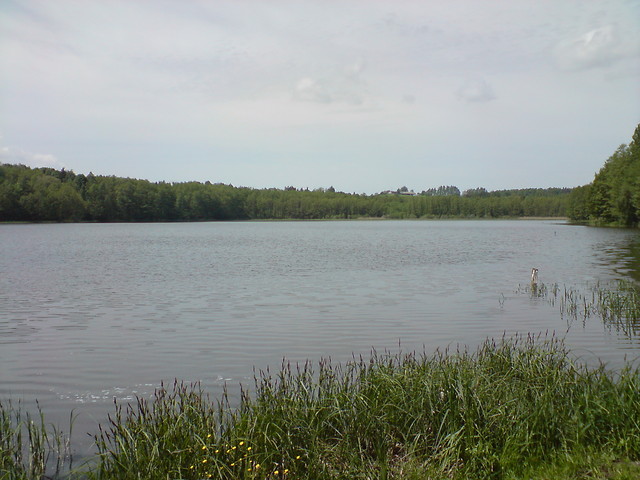 PLEBANKA