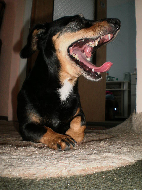 Kolcia :)