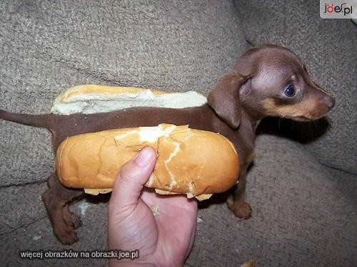 hot Dog 