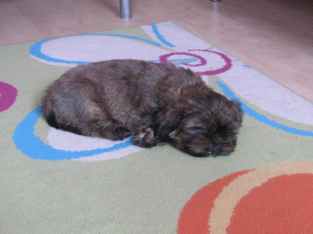pioch