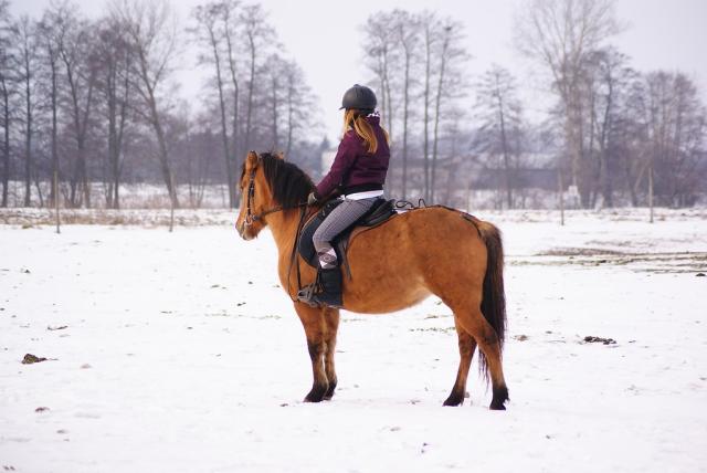 Wpis stabless