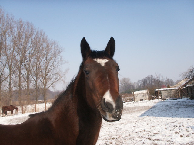25.02.2011