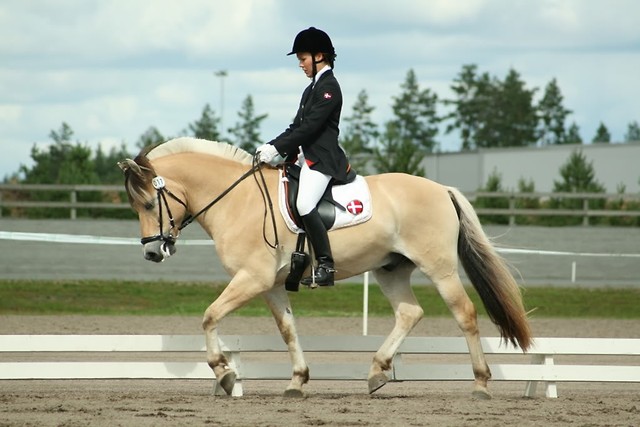 Eminent Halsnaes