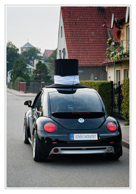 Wpis newbeetle