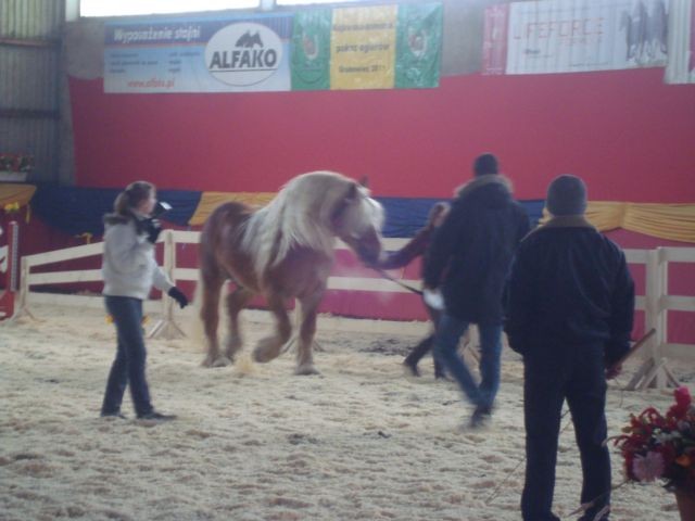 Wpis blackhorse93