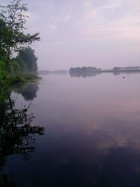 Narew (robione telefonem)