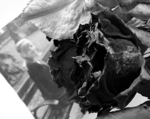 Black & White