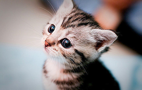 sodkie < 3