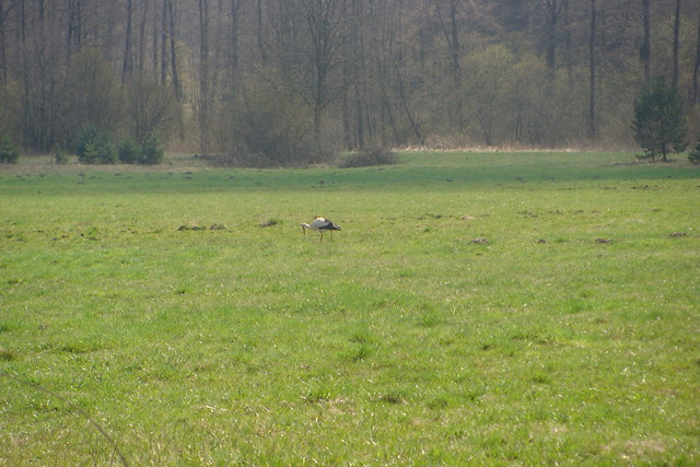 Wpis monik0108