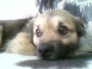 Misuu xD