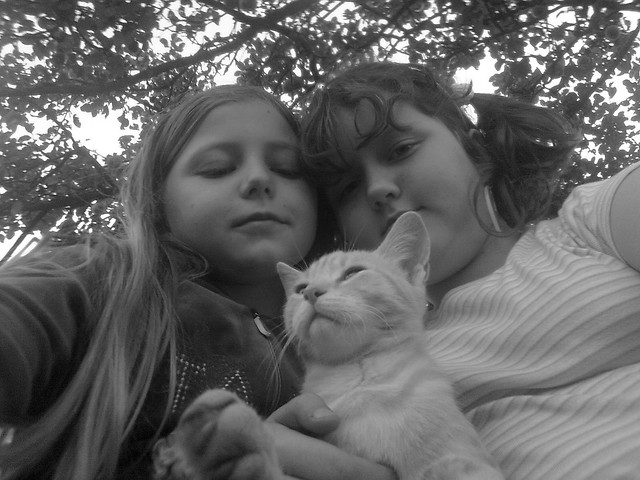 Wpis emcia09