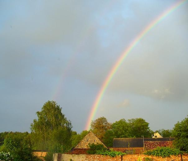 Rainbow 