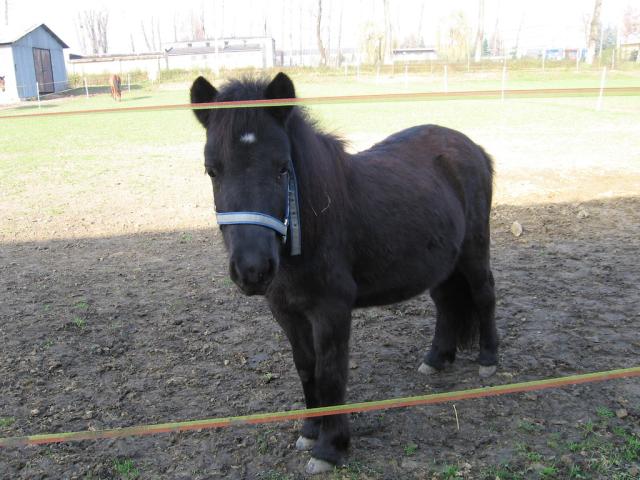 Klamka ;d