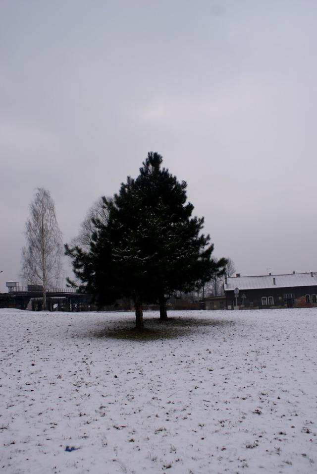 Wpis iloiten