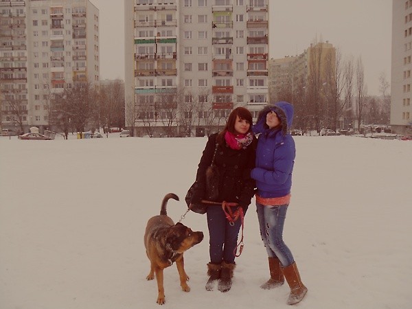Wpis pomyslcosaniee