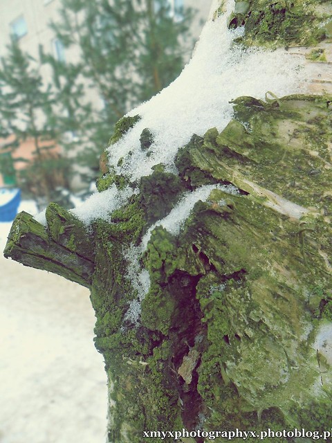 Wpis xmyxphotographyx